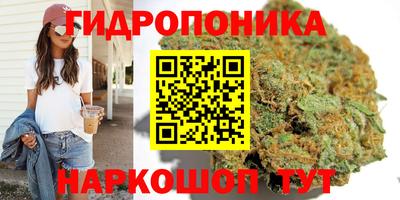 кокс Гусиноозёрск